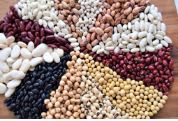 اللوبيا والفاصوليا البيضاء المطبوخة