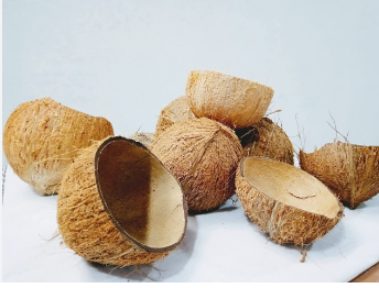 صناعة الفحم من قشور جوز الهند