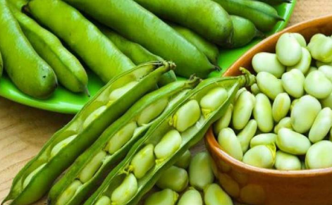 فول حراتى بالمايونيز