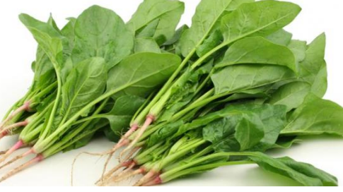 السبانخ المطبوخة