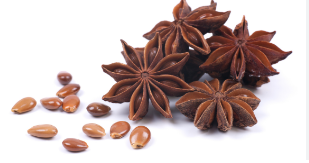 تجفيف الينسون النجمى