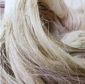 معالجة شعر لب النخيل