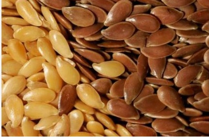 استخراج الزيوت من البذور