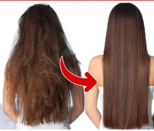 كريم فرد الشعر