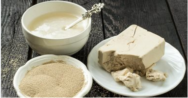 استخدام الخميرة  فى الزراعة