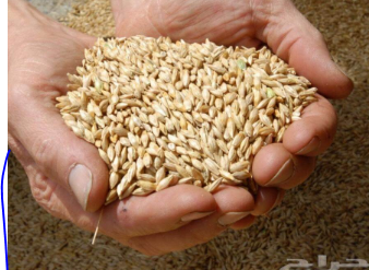 مشروب لغسيل الكليتين