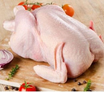 اساس مصنعات الفراخ 