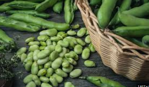 فول حراتى بالنعناع والريحان