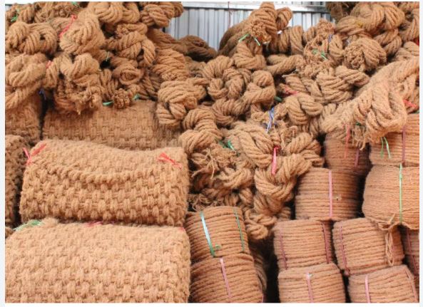 معالجة شعر لب النخيل 2